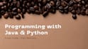 write and debug java and python programs