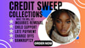 sweep credit report remove negative item  credit score with different method