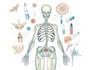 do medical and scientific illustrations