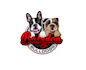 create creative and good looking bulldog logo design