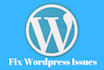 do wordpress help and fix wordpress issues