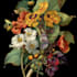 llustrate best botanical illustration