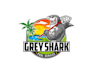 create exclusive and marvelous shark and pool service logo design