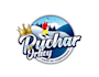 create wonderful and excellent ski logo design
