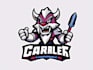 create character mascot logo design