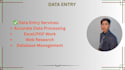 lightning data entry research