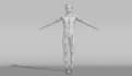 produce 3d second life character 3d rigging  character rigging  3d animation