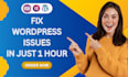 fix wordpress issues, bugs, errors, and any wp problem fast