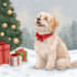 draw your christmas pet portrait