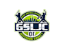 create awesome and gorgeous softball logo design