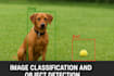 do image classification, object detection and segmentation