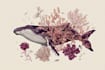 draw custom botanical illustration art