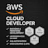 develop as AWS cloud developer, backend, frontend, microservices apps