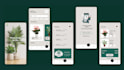 ui UX design, mobile app or website ui ux design
