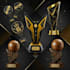 do trophy and awards design for you