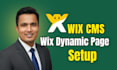 wix cms or wix dynamic page, membership or wix pricing plan
