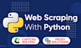 do professional web scraping for any website within 24 hrs