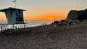 be your photographer in los angeles