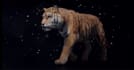 do 3d animal model, 3d animation texturing, 3d rigging in blender