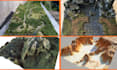 model realistic 3d terrain landscape, 3d realistic topography, 3d terrain
