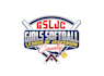 create attractive and imagination softball logo design