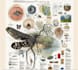 create medical and scientific illustrations