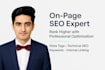do on page SEO, meta tags, schema, and optimization