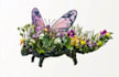 draw animal and botanical illustrations
