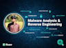 do malware analysis and reverse engineering