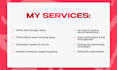be your tiktok ads manager and run profitable tiktok ads campaigns that convert