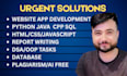 script java python cpp mysql html css  assign programming project develop coder