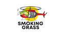do make an modern custom helicopter logo design
