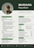 design a professional ats friendly resume