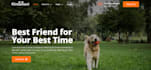 design dog website, dog training website, pet grooming website, sitting website