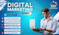 do digital marketing service provider and seo expert