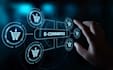 develop web applications  frontend  backend development
