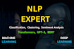 offer expert nlp solutions for ml, ai, and nlp project