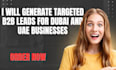 generate targeted b2b leads for dubai and uae  qatar, canada USA businesses