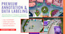 deliver expert ai image annotation and data labeling