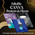 create editable canva flyers,posters and promotional designs