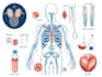 draw your medical illustration
