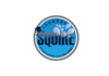 design top quality delivery laundry service logo