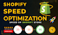 speed up shopify store using google pagespeed insight