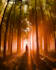design creative 3d environments and artwork