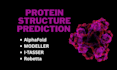 do in silico protein structure prediction