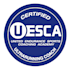 create a professional ultra trail running coaching plan