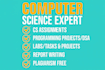 do programming, computer science and IT projects
