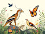 draw wild life in scientific illustration