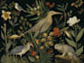 draw an animal and botanical illustration