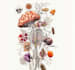 do medical and scientific illustrations